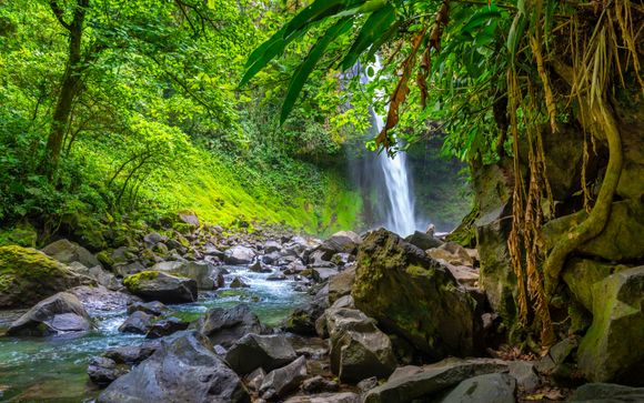 ¡Completa tu estancia!