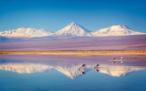 ¡Completa tu estancia!