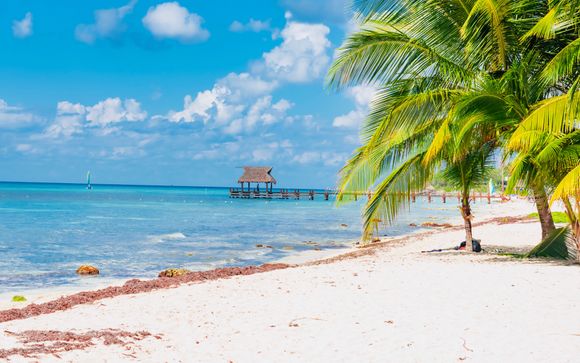 ¡Tus actividades incluidas!