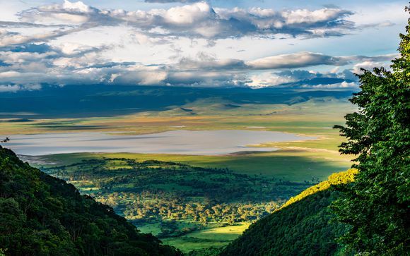 Tu itinerario en detalle