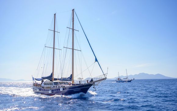 ¡Bienvenido a bordo!