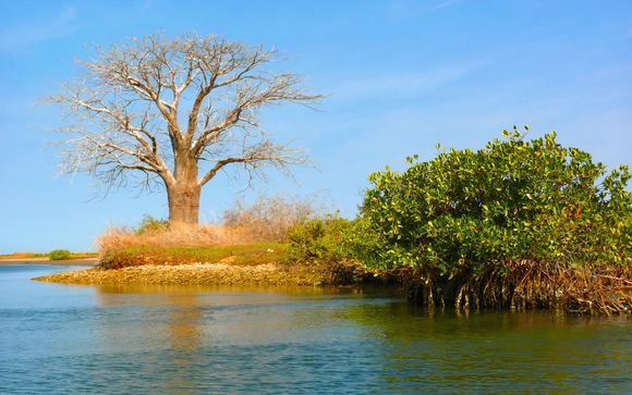 Tour privado por Senegal 