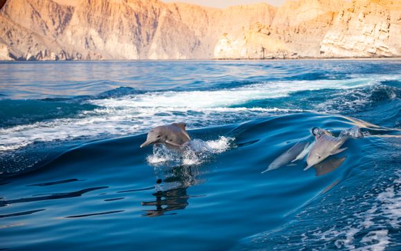 Descubrimiento de Maravillas Marinas