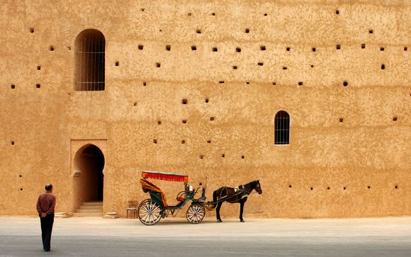 ¡Tu actividad incluida!