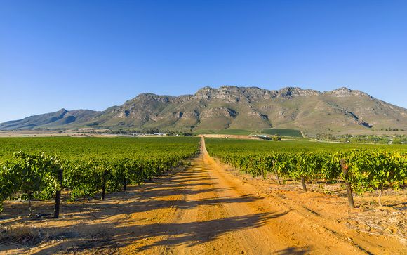 ¡Completa tu estancia!