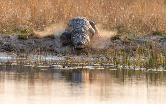 ¡Completa tu estancia!