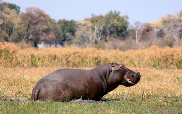 ¡Completa tu estancia!