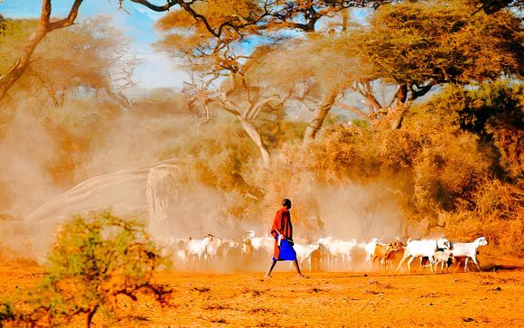 Tu itinerario de viaje