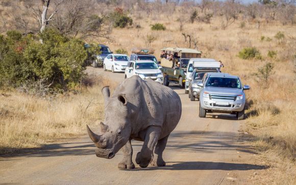 Autotour de Johannesburgo al Parque Kruger