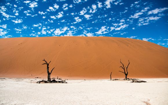Tu destino