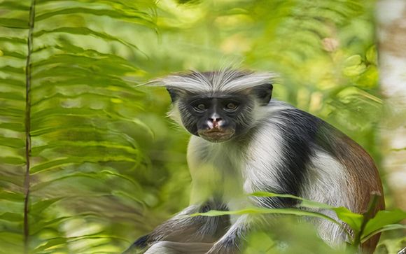 Completa tu estancia