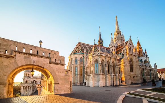 Tu actividad incluida