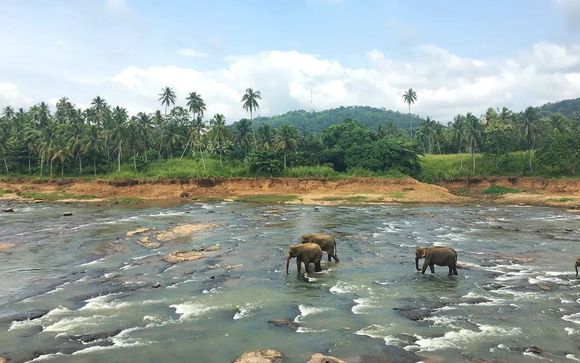 ¡Completa tu estancia!