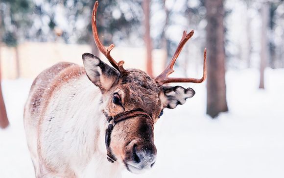 ¡Completa tu estancia!