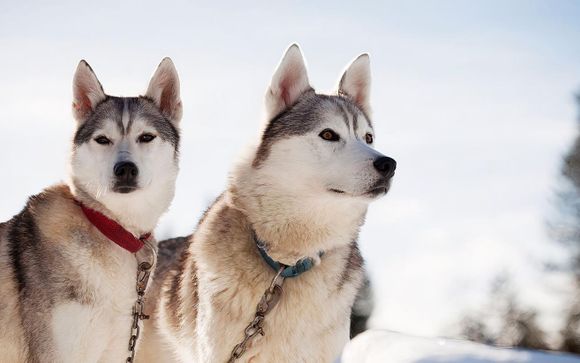 ¡Completa tu estancia!