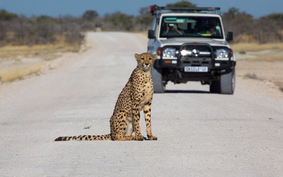 ¡Completa tu estancia!