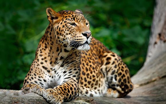 ¡Completa tu estancia!