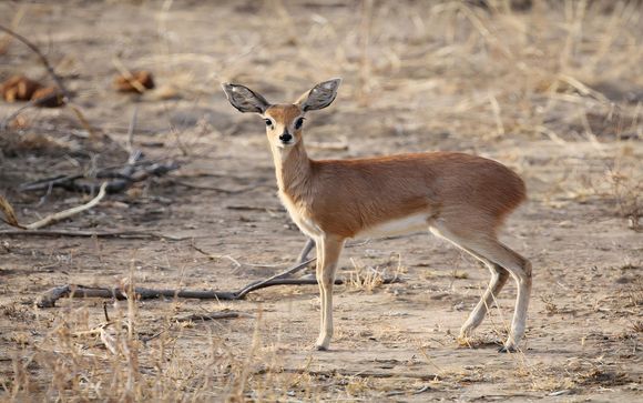 ¡Completa tu estancia!