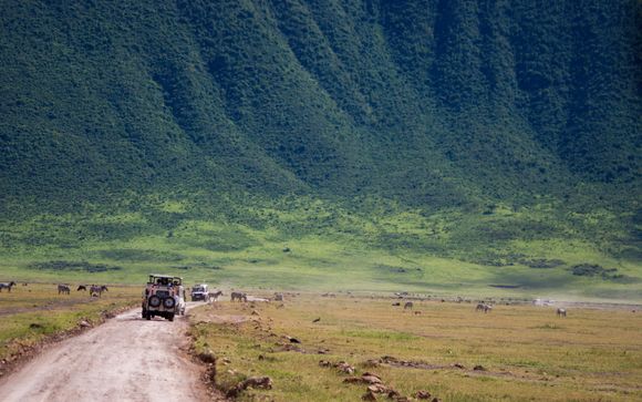 Tu itinerario durante el safari