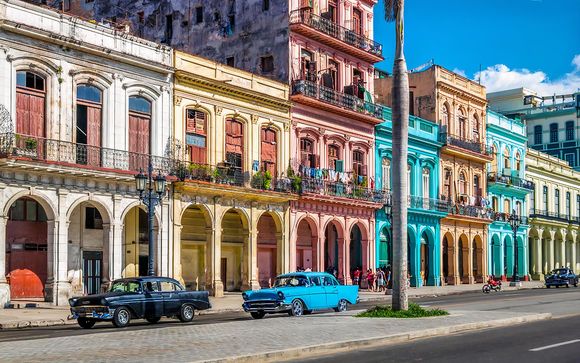 Tu actividad incluida