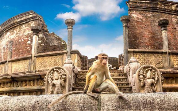 ¡Completa tu estancia!