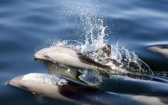 ¡Completa tu estancia! 