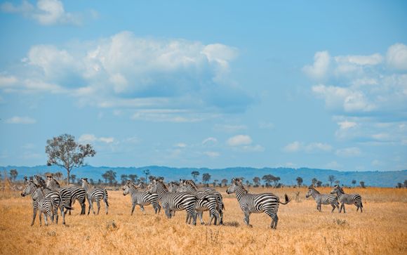 ¡Completa tu estancia!