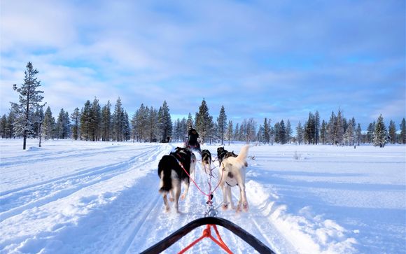 Tu actividad incluida