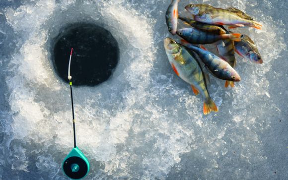 ¡Completa tu estancia!