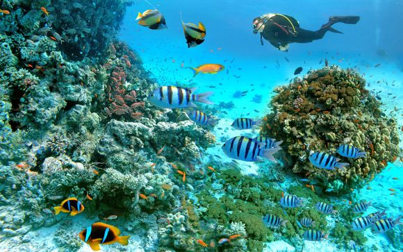 ¡Completa tu estancia!