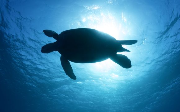 ¡Completa tu estancia!