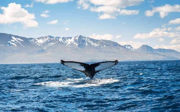 ¡Completa tu estancia!