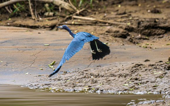 ¡Completa tu estancia!