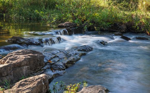 ¡Completa tu estancia!