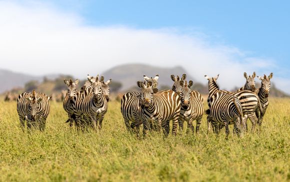 Tu itinerario durante el safari