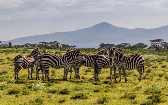 Tu safari de 7 noches