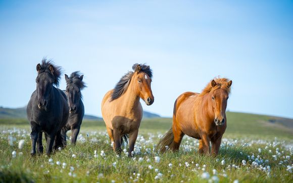 ¡Completa tu estancia!