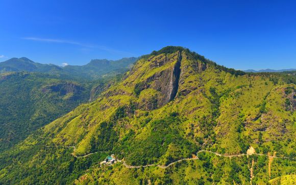 ¡Completa tu estancia!