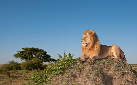 Tu itinerario durante el safari