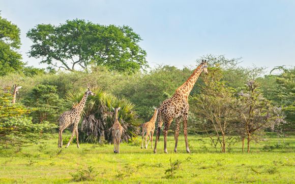 Tu safari de 2 noches