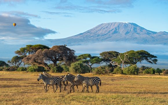 Tu itinerario durante el safari