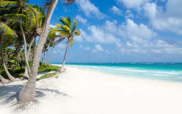 Playa del Carmen te espera