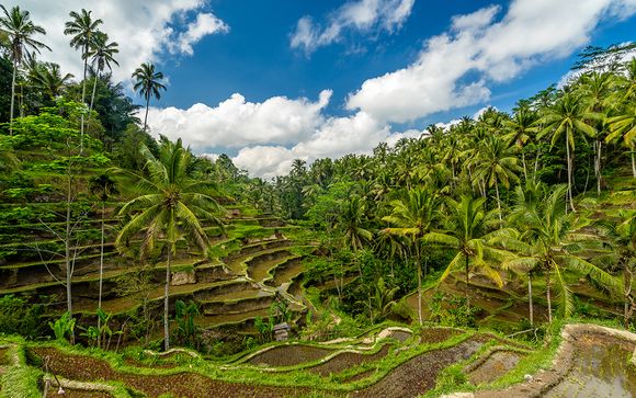 Ubud te espera