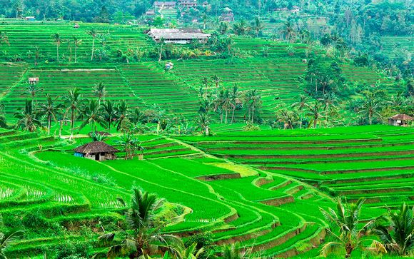 Itinerario / Salidas en grupo