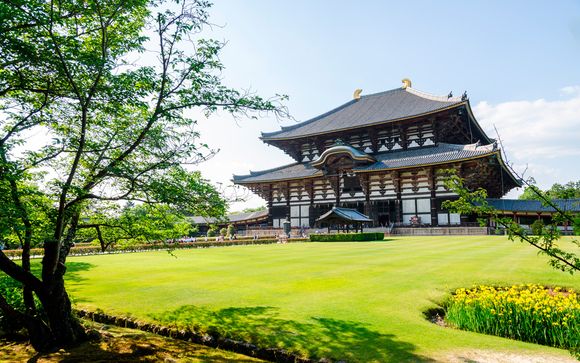 Hoteles previstos o similares