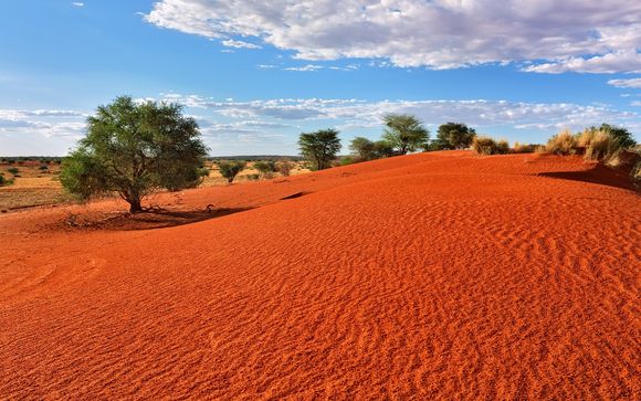 Itinerario - Salidas en grupo