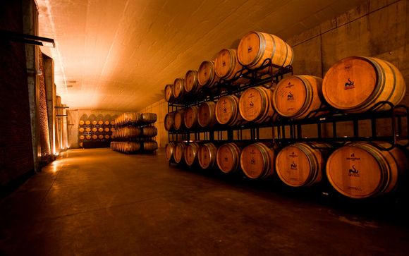 Hotel & Winery Señorío de Nevada 4*