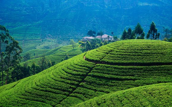 Itinerario - Circuito privado