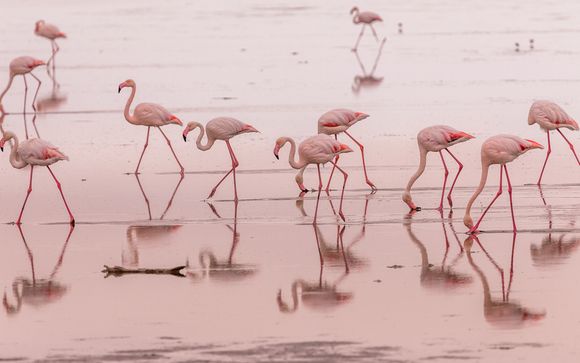 Itinerario - Salidas en grupo