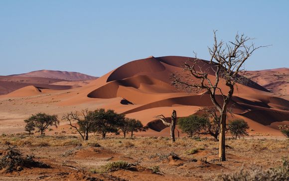 Itinerario - Salidas en grupo